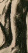 New Scoliosis Research Journal Announced New Scoliosis Research Journal Announced