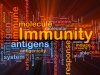 Immunity, Chiropractic & Best Practices Document Published