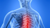 Tone, Tensegrity and Chiropractic Tone, Tensegrity and Chiropractic