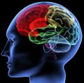 New Research Sheds Light on Chiropractic and Balance in the Elderly New Research Sheds Light on Chiropractic and Balance in the Elderly