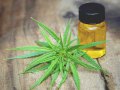 Some States Starting to Address CBD Products & Chiropractic Scope