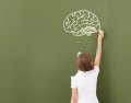 New Research Sheds Light on Brain Function and Developmental Delay New Research Sheds Light on Brain Function and Developmental Delay