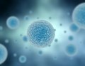 New Research Sheds Light on Chiropractic, Allergies & Immunity New Research Sheds Light on Chiropractic, Allergies & Immunity