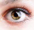 Woman's Vision Restored Following Chiropractic Woman's Vision Restored Following Chiropractic