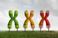 New Research on Chiropractic and Telomere Length New Research on Chiropractic and Telomere Length