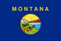 Montana Board Considers Scope Expansion to Include Dry Needling 