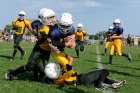 Pre-Participation Sports Physicals in Children Pre-Participation Sports Physicals in Children