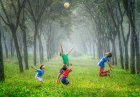 New Research on Childhood Health & Chiropractic New Research on Childhood Health & Chiropractic