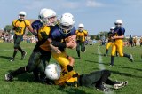Pre-Participation Sports Physicals in Children