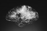 New Research Sheds Light on Concussions & Chiropractic New Research Sheds Light on Concussions & Chiropractic
