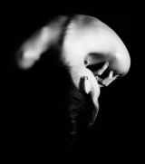 Chiropractic Helps Woman Suffering from Failed Back Surgery Chiropractic Helps Woman Suffering from Failed Back Surgery