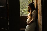 New Research on Pelvic Pain & Chiropractic During Pregnancy New Research on Pelvic Pain & Chiropractic During Pregnancy