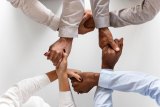 Foundation for Vertebral Subluxation Endorses Joint Statement Rejecting WFC, ACA and Parker's Conclusions Regarding Chiropractic and Immunity Foundation for Vertebral Subluxation Endorses Joint Statement Rejecting WFC, ACA and Parker's Conclusions Regarding Chiropractic and Immunity