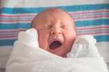 Leading Authority on Chiropractic Education Responds to Australian Ban on Infants Leading Authority on Chiropractic Education Responds to Australian Ban on Infants