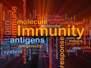 Immunity, Chiropractic & Best Practices Document Published