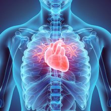 A Closer Look at Atrial Fibrillation: How Chiropractic Care Can Play a Role in Your Heart Health A Closer Look at Atrial Fibrillation: How Chiropractic Care Can Play a Role in Your Heart Health