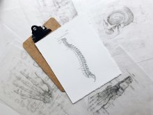New Insights into the Impact of Vertebral Subluxations on Nervous System Function: A Comprehensive Review New Insights into the Impact of Vertebral Subluxations on Nervous System Function: A Comprehensive Review